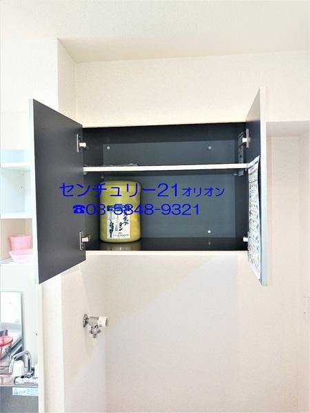 フェリスソニア／フェリスソニア