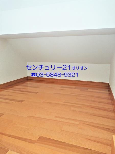 フェリスソニア／フェリスソニア