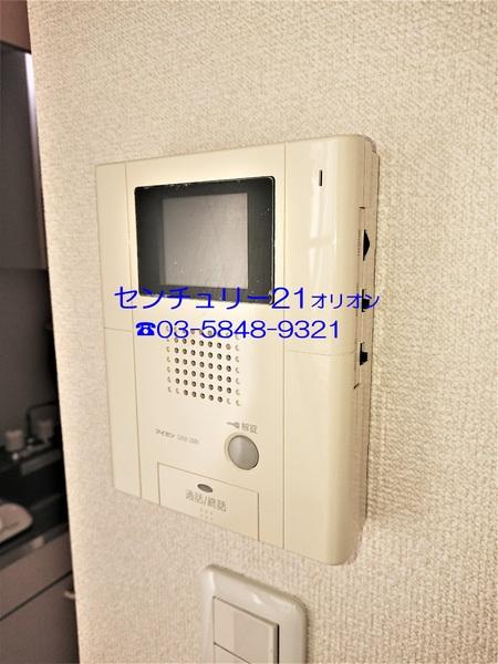 フェリスソニア／フェリスソニア