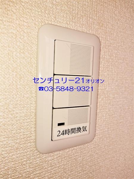 フェリスソニア／フェリスソニア