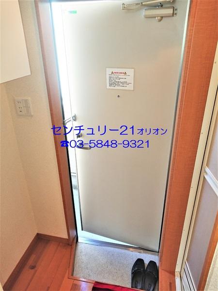 フェリスソニア／フェリスソニア