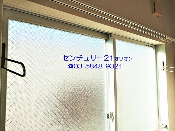 フェリスソニア／フェリスソニア