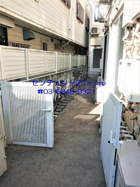 フェリスソニア／フェリスソニア