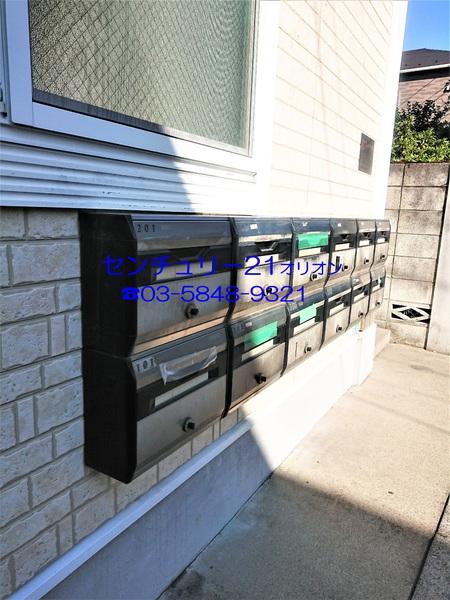 フェリスソニア／フェリスソニア