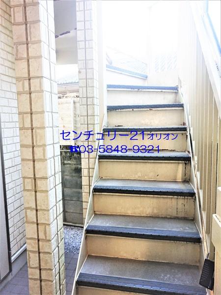 フェリスソニア／フェリスソニア