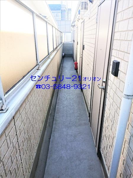 フェリスソニア／フェリスソニア