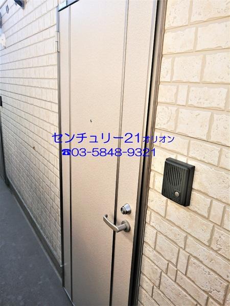 フェリスソニア／フェリスソニア