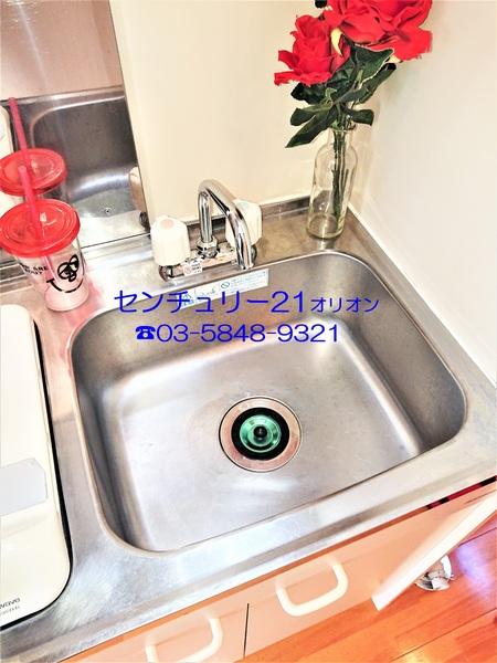 フェリスソニア／フェリスソニア