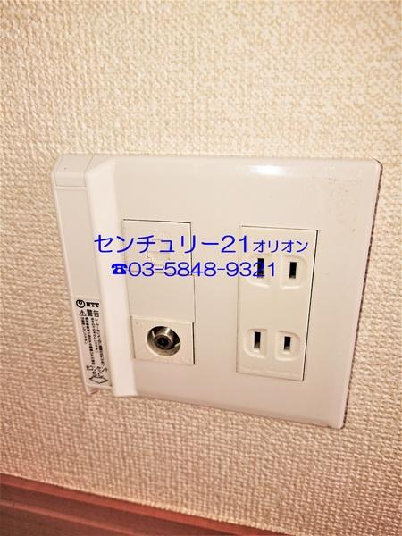 フェリスソニア／フェリスソニア