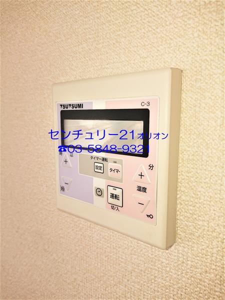 フェリスソニア／フェリスソニア