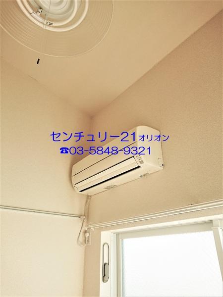 フェリスソニア／フェリスソニア