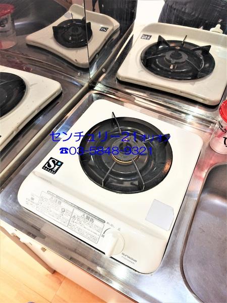 フェリスソニア／フェリスソニア