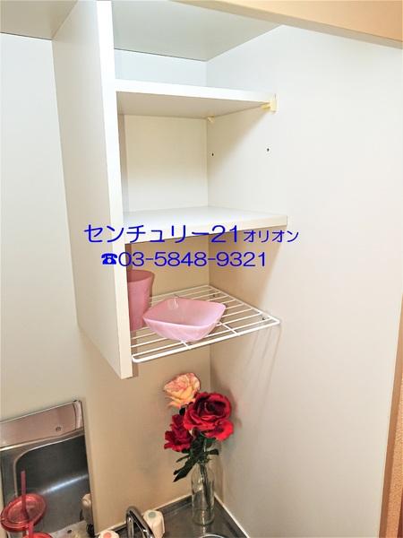 フェリスソニア／フェリスソニア