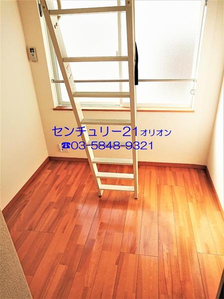 フェリスソニア／フェリスソニア