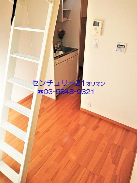 フェリスソニア／フェリスソニア