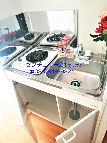 フェリスソニア／フェリスソニア