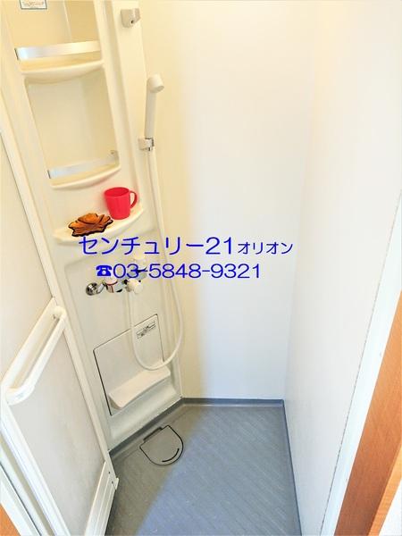 フェリスソニア／フェリスソニア