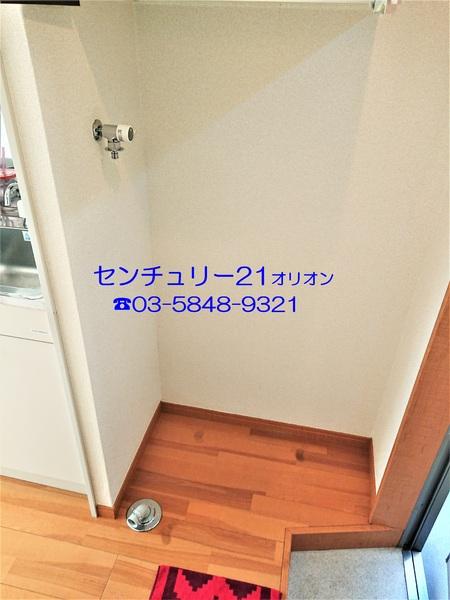 フェリスソニア／フェリスソニア