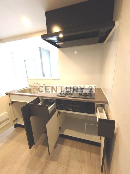 Alivis新江古田／アリヴィスシンエコダ