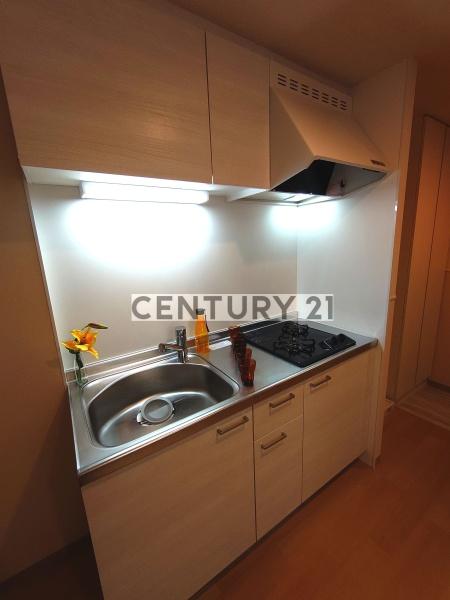 ホワイトカウンティ富士見台／ホワイトカウンティフジミダイ