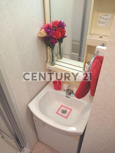 Casutillo　中村橋／カスティーロナカムラバシ