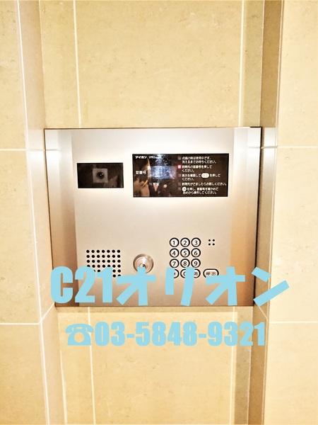 フュージョナル上鷺宮／フュージョナルカミサ