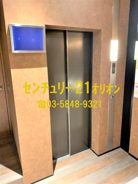 ベルグレードNF/ベルグレードエヌエフ