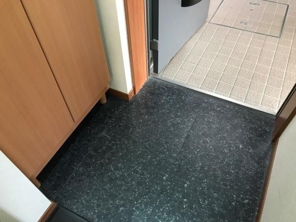 プランドールヒルズ弐号館(玄関)