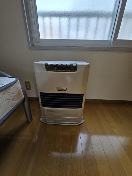 ロイ桔梗野
