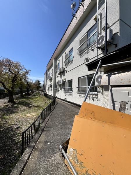 ロイ桔梗野