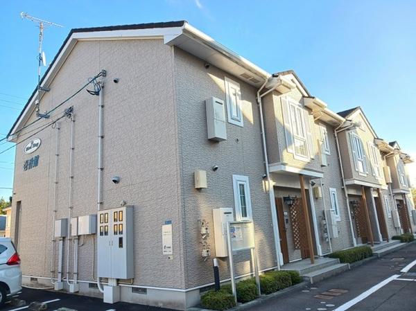 バードタイニー