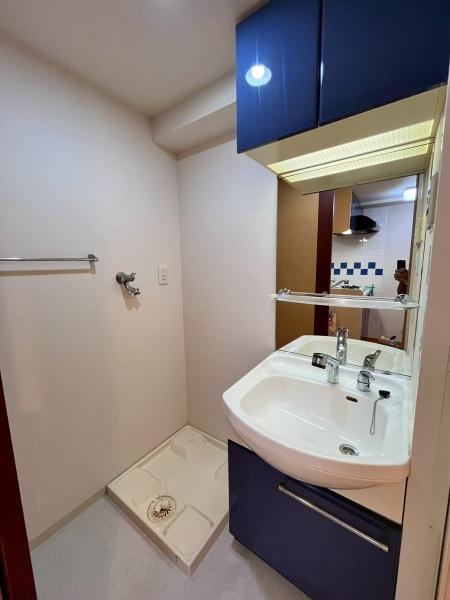 プレサンス鶴舞駅前ブリリアント(洗面台・洗面所)