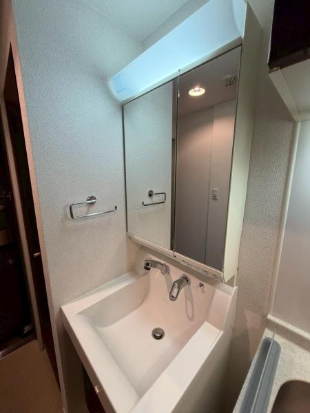 エステムプラザ名古屋・栄プレミアム(洗面台・洗面所)