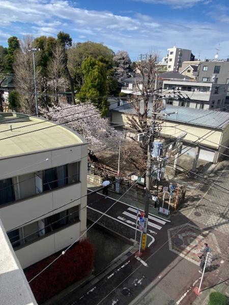 大田区東雪谷２丁目のマンション