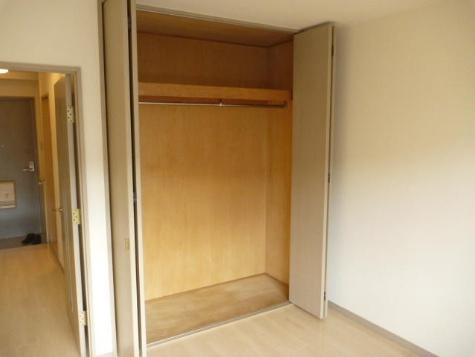 川崎市中原区小杉町3丁目のマンション(収納)