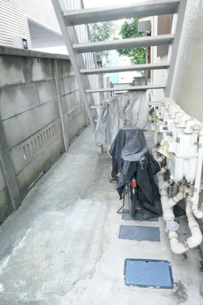 メグ生田目