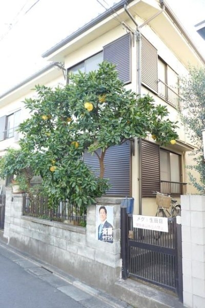 メグ生田目
