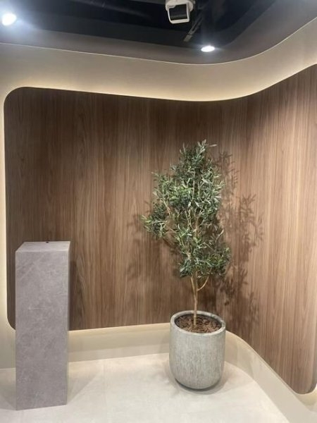 ＡＺ　Ｇｉｎｚａ　Ｅａｓｔ