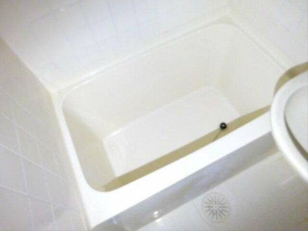 メゾンドエルデーラ