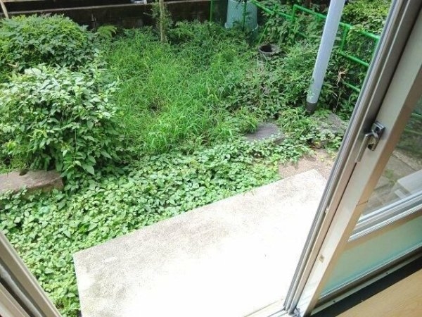 ハイム神山