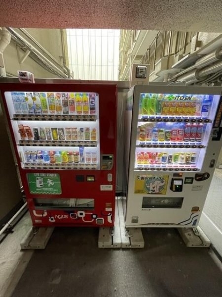 東京ベイビュウ