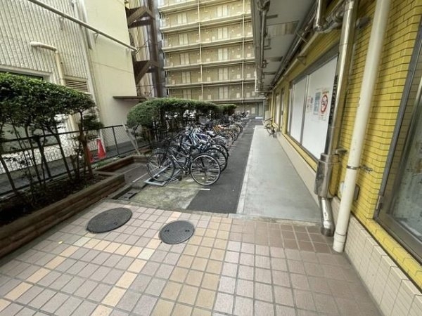 東京ベイビュウ
