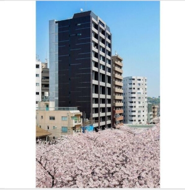 パークフラッツ中目黒