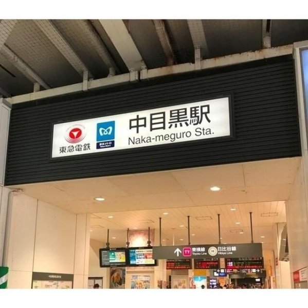 目黒ＬＦＶ