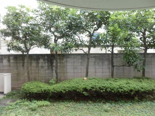 ハイタウン駒沢公園Ｎｏ．２