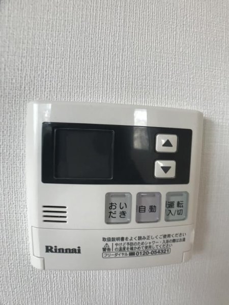 ツルマキロジ