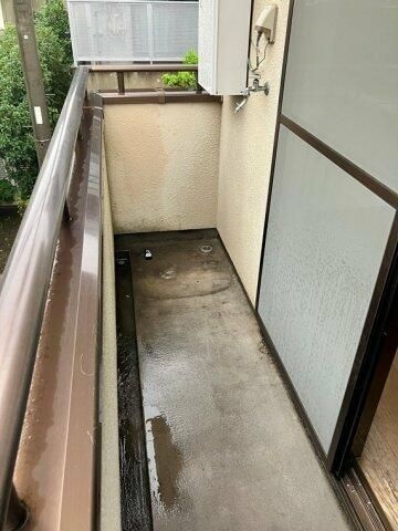 パルナシウス