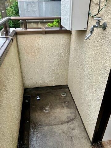 パルナシウス