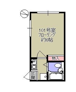 ホワイトコート