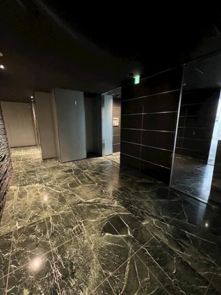 モデルノ トッレ 松濤(エントランス)